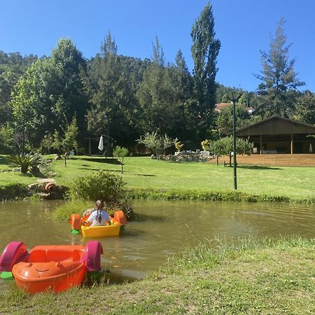 Quinta Da Vinha Do Souto Villa Arouca Buitenkant foto