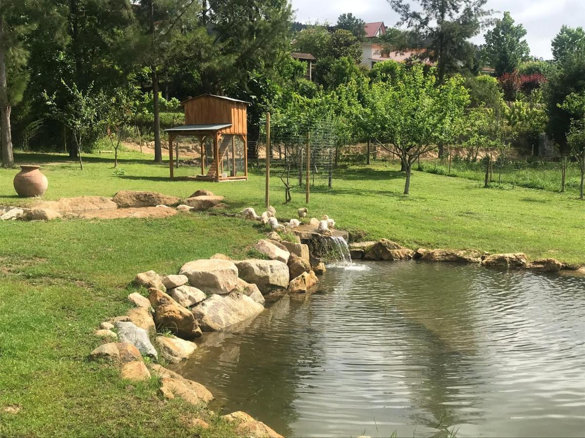 Quinta Da Vinha Do Souto Villa Arouca Buitenkant foto