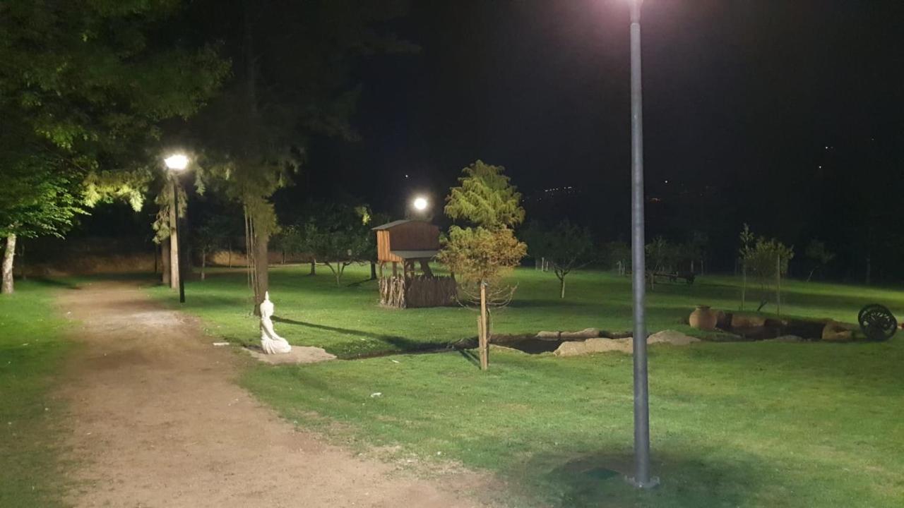 Quinta Da Vinha Do Souto Villa Arouca Buitenkant foto