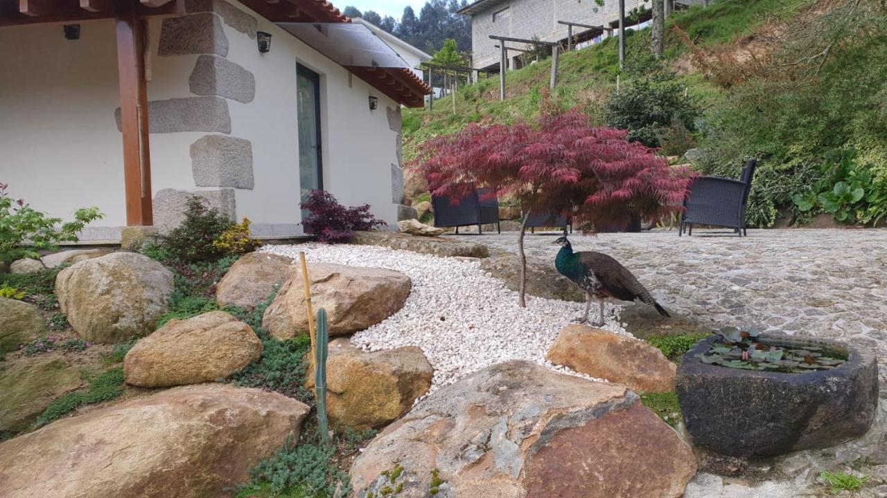 Quinta Da Vinha Do Souto Villa Arouca Buitenkant foto