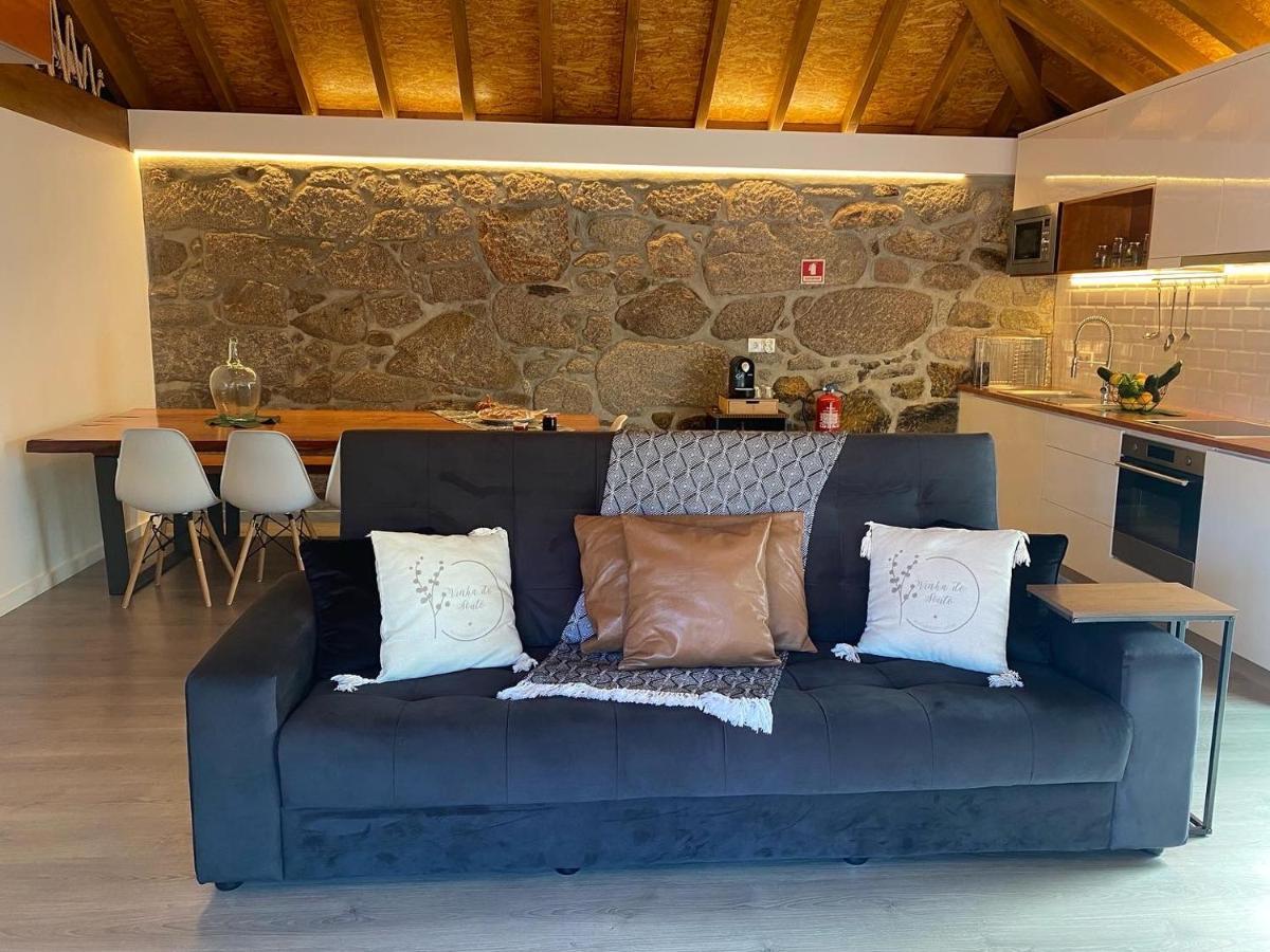 Quinta Da Vinha Do Souto Villa Arouca Buitenkant foto