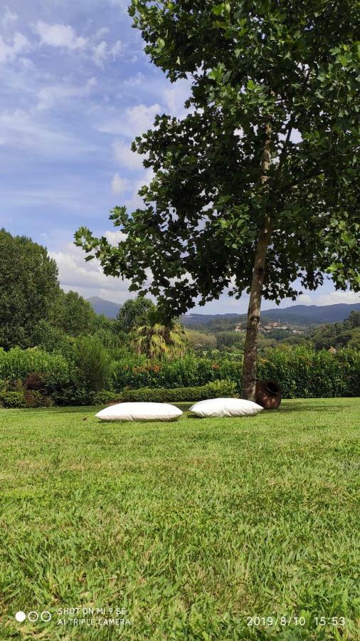 Quinta Da Vinha Do Souto Villa Arouca Buitenkant foto